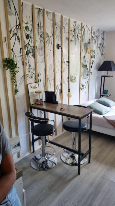 Hsh France Location Disney Land Paris - Suite Nicolas - Appartement De Charme Bussy-Saint-Georges Kültér fotó